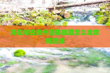 海拉尔去贵州团体旅游