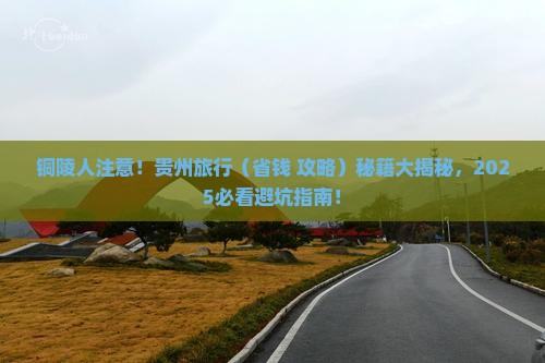 铜陵到贵州旅行社