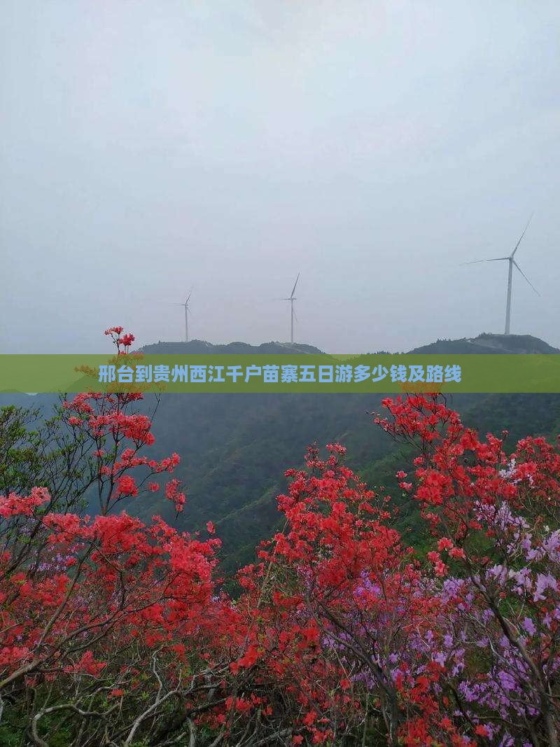 邢台到贵州西江千户苗寨五日游