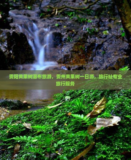 贵阳去贵州黄果树瀑布旅行社