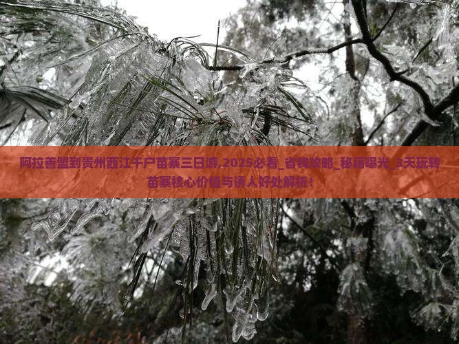 阿拉善盟到贵州西江千户苗寨三日游