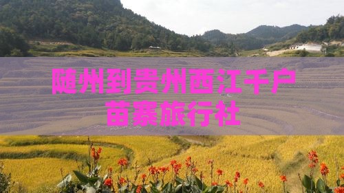 随州到贵州西江千户苗寨旅行社