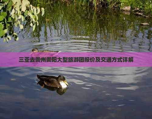 三亚去贵州贵阳大型旅游团报价及交通方式详解