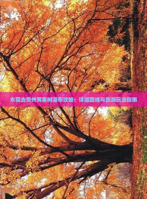 东莞去贵州黄果树瀑布攻略：详细路线与旅游玩法指南