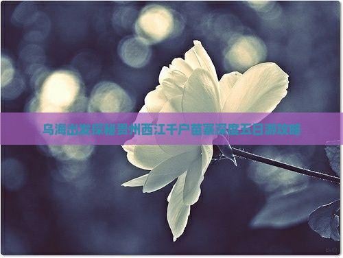 乌海出发探秘贵州西江千户苗寨深度五日游攻略