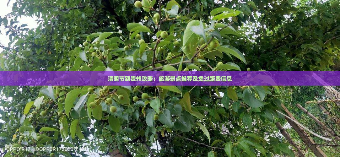 清明节到贵州攻略：旅游景点推荐及免过路费信息