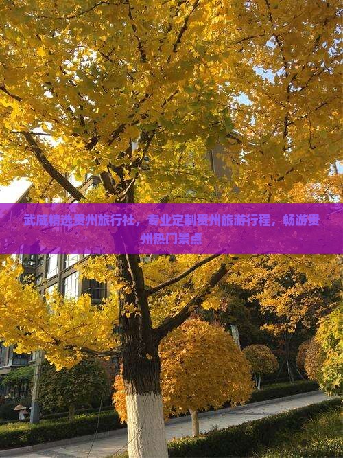 武威精选贵州旅行社，专业定制贵州旅游行程，畅游贵州热门景点