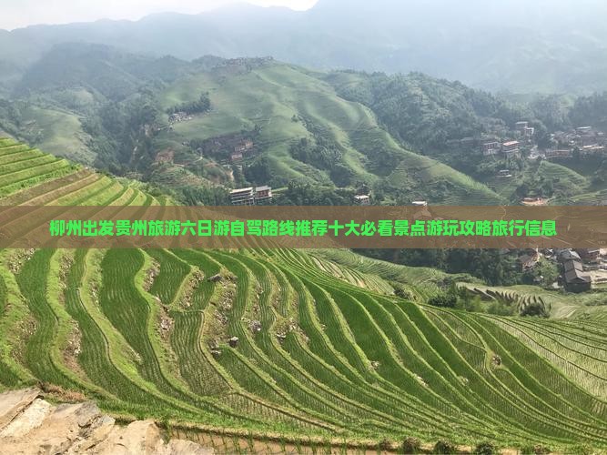 柳州出发贵州旅游六日游自驾路线推荐十大必看景点游玩攻略旅行信息
