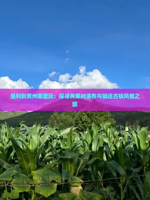 垦利到贵州哪里玩：探寻黄果树瀑布与镇远古镇风情之旅