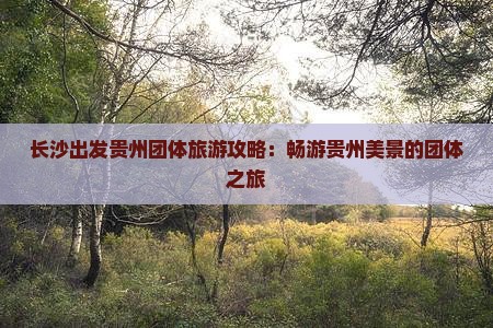 长沙出发贵州团体旅游攻略：畅游贵州美景的团体之旅