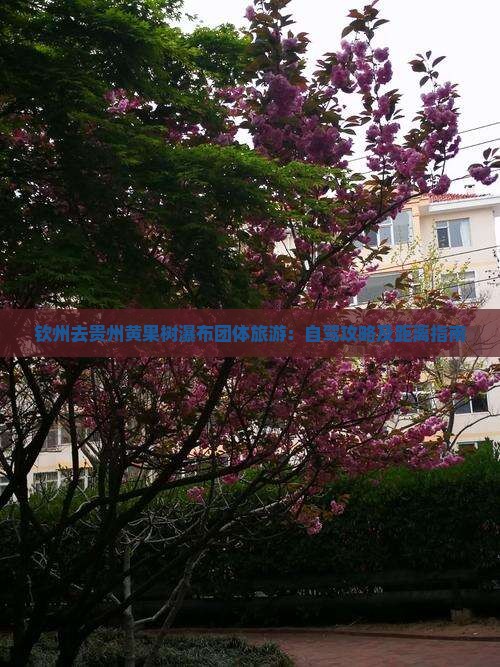 钦州去贵州黄果树瀑布团体旅游：自驾攻略及距离指南