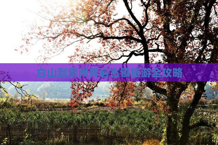 白山到贵州青岩古镇旅游全攻略