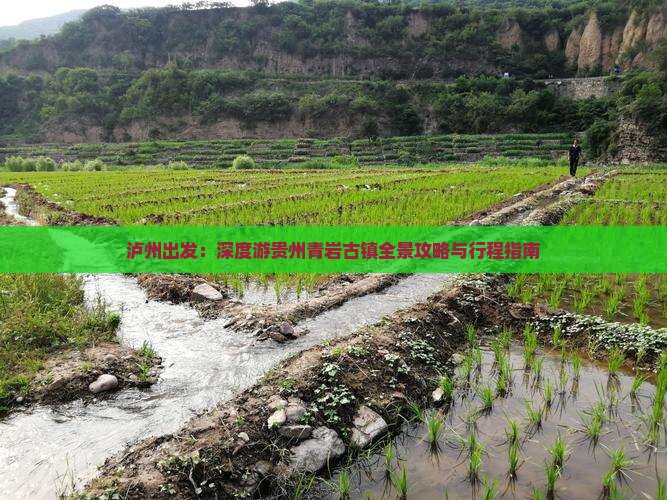 泸州出发：深度游贵州青岩古镇全景攻略与行程指南