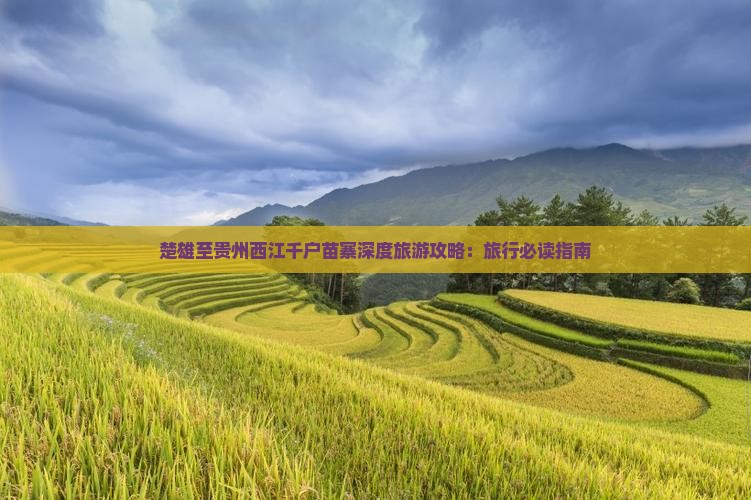 楚雄至贵州西江千户苗寨深度旅游攻略：旅行必读指南