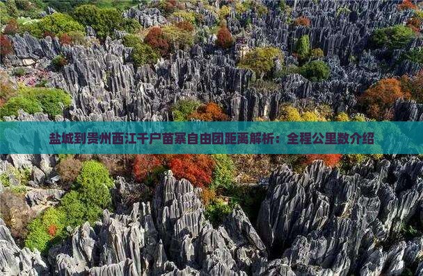 盐城到贵州西江千户苗寨自由团距离解析：全程公里数介绍