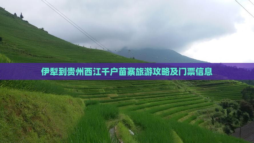 伊犁到贵州西江千户苗寨旅游攻略及门票信息