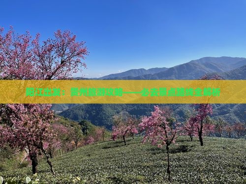 阳江出发：贵州旅游攻略——必去景点路线全解析