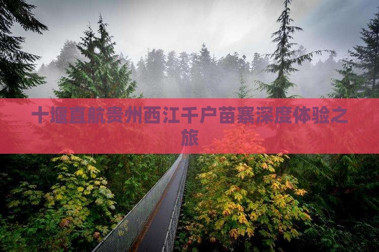 十堰直航贵州西江千户苗寨深度体验之旅