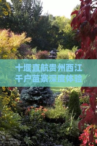 十堰直航贵州西江千户苗寨深度体验之旅