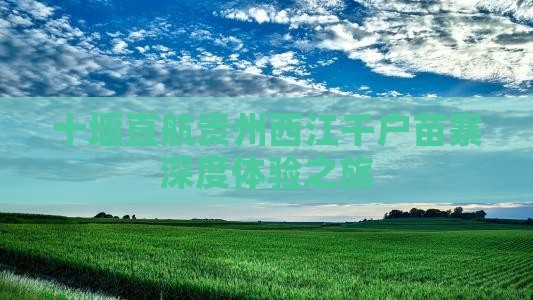 十堰直航贵州西江千户苗寨深度体验之旅