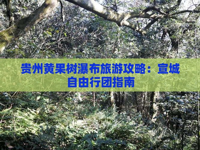 贵州黄果树瀑布旅游攻略：宣城自由行团指南
