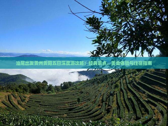汕尾出发贵州贵阳五日深度游攻略：经典景点、美食体验与住宿指南