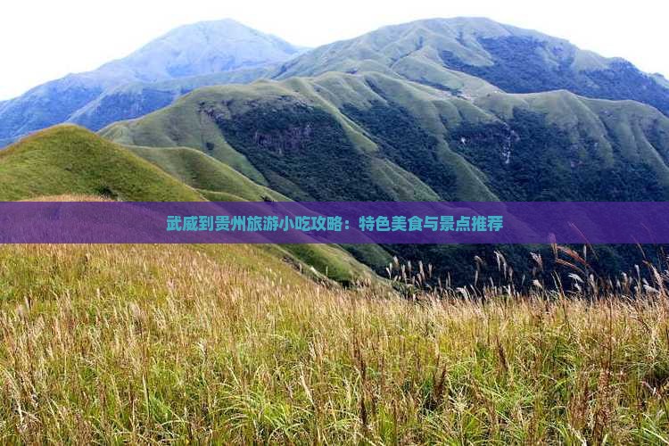 武威到贵州旅游小吃攻略：特色美食与景点推荐