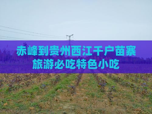 赤峰到贵州西江千户苗寨旅游必吃特色小吃