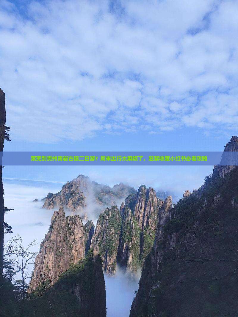 莱芜到贵州青岩古镇二日游？周末出行太麻烦了，赶紧收藏小红书必看攻略