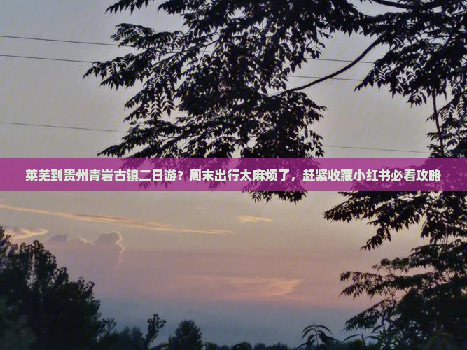 莱芜到贵州青岩古镇二日游？周末出行太麻烦了，赶紧收藏小红书必看攻略