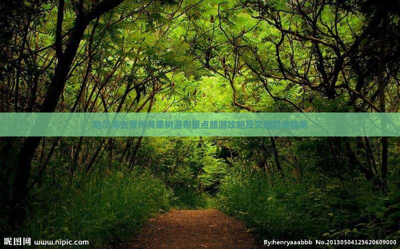 哈尔滨去贵州黄果树瀑布景点旅游攻略及交通路线指南