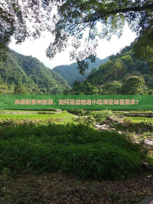 承德到贵州旅游，如何品尝地道小吃满足味蕾需求？