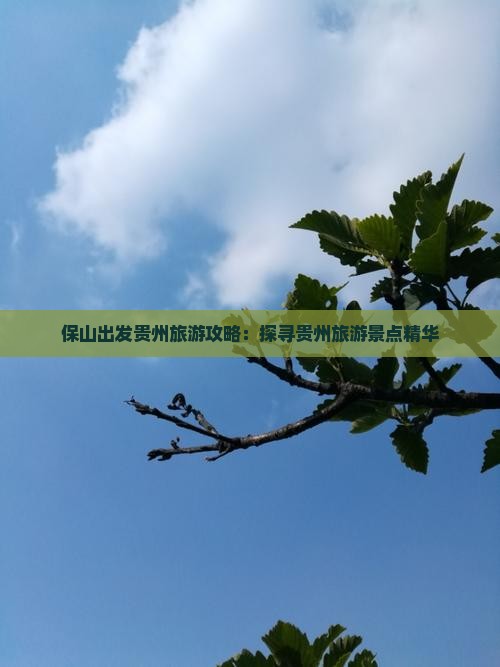 保山出发贵州旅游攻略：探寻贵州旅游景点精华