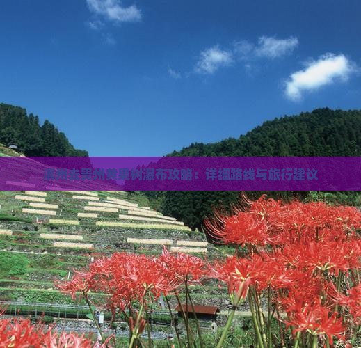 滨州去贵州黄果树瀑布攻略：详细路线与旅行建议