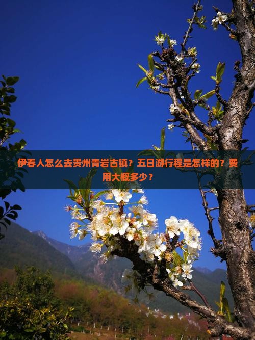 伊春人怎么去贵州青岩古镇？五日游行程是怎样的？费用大概多少？