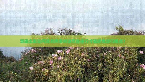 楚雄出发如何规划黄果树瀑布自由行才能避免旅行痛点？