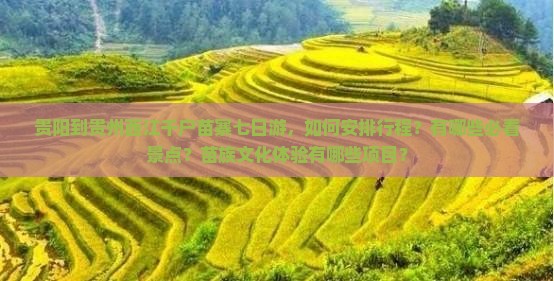 贵阳到贵州西江千户苗寨七日游，如何安排行程？有哪些必看景点？苗族文化体验有哪些项目？