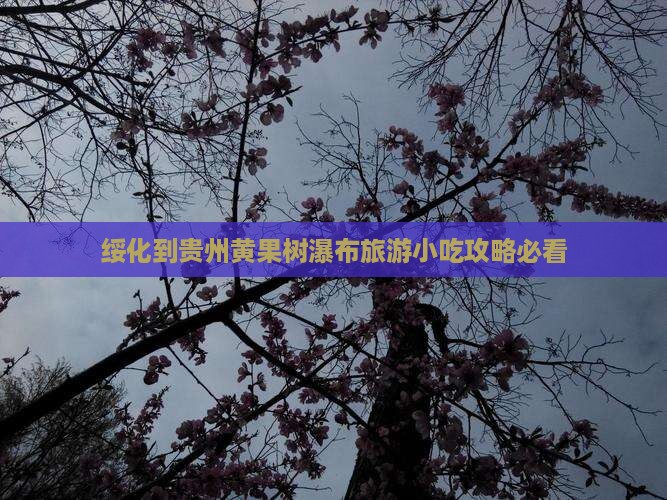 绥化到贵州黄果树瀑布旅游小吃攻略必看