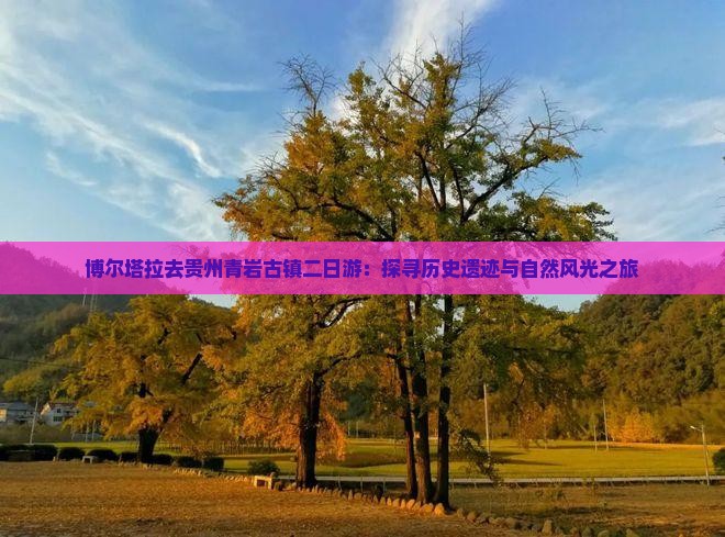 博尔塔拉去贵州青岩古镇二日游：探寻历史遗迹与自然风光之旅