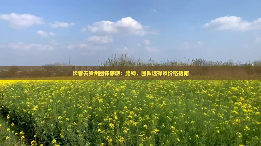 长春去贵州团体旅游：路线、团队选择及价格指南