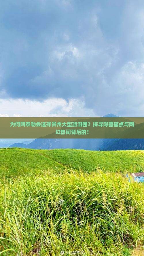 为何阿泰勒会选择贵州大型旅游团？探寻隐藏痛点与网红热词背后的！