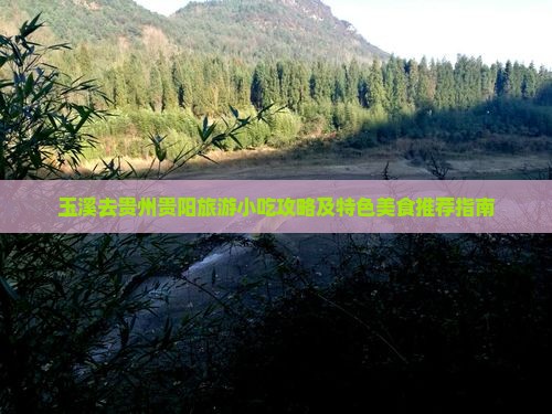 玉溪去贵州贵阳旅游小吃攻略及特色美食推荐指南
