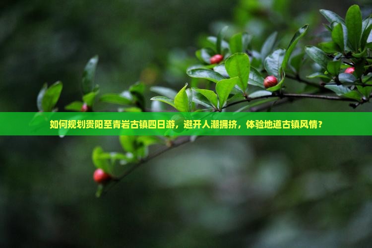 如何规划贵阳至青岩古镇四日游，避开人潮拥挤，体验地道古镇风情？