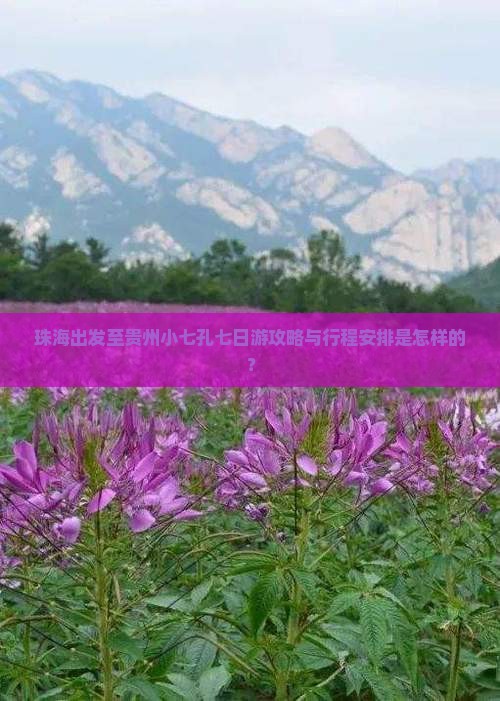 珠海出发至贵州小七孔七日游攻略与行程安排是怎样的？