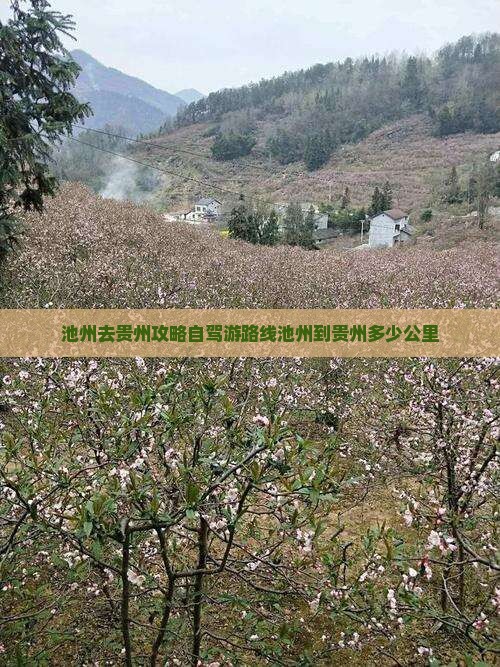 池州去贵州攻略自驾游路线池州到贵州多少公里