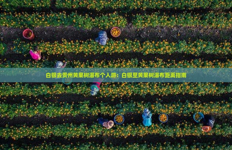 白银去贵州黄果树瀑布个人游：白银至黄果树瀑布距离指南