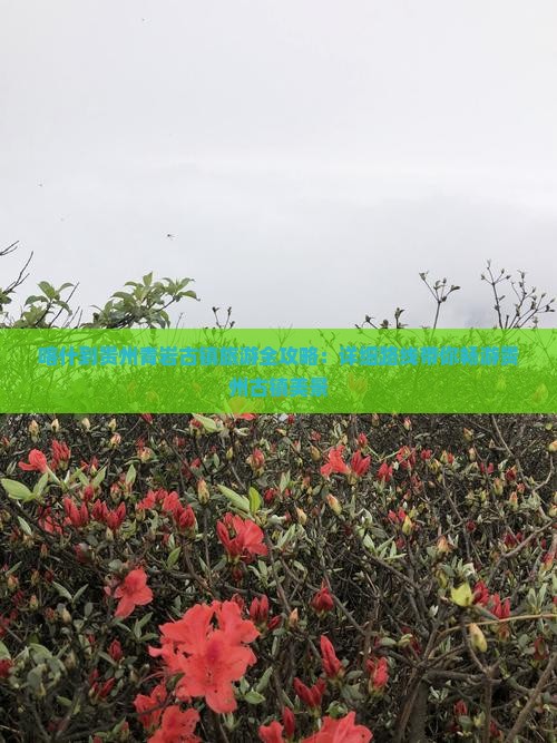 喀什到贵州青岩古镇旅游全攻略：详细路线带你畅游贵州古镇美景