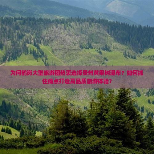 为何鹤岗大型旅游团热衷选择贵州黄果树瀑布？如何抓住痛点打造高品质旅游体验？