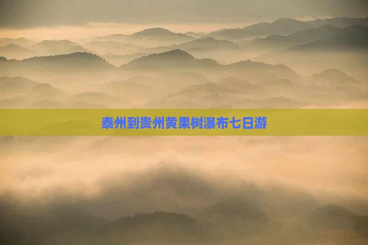 泰州到贵州黄果树瀑布七日游