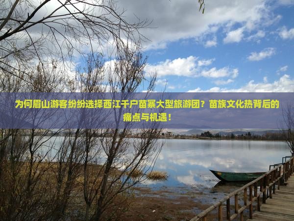 为何眉山游客纷纷选择西江千户苗寨大型旅游团？苗族文化热背后的痛点与机遇！